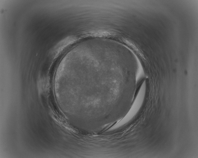 X0000081470583200701121421