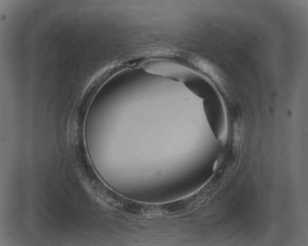 X0000081470587200701121421