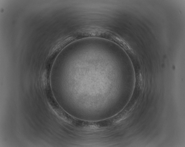 X0000081470594200701121421