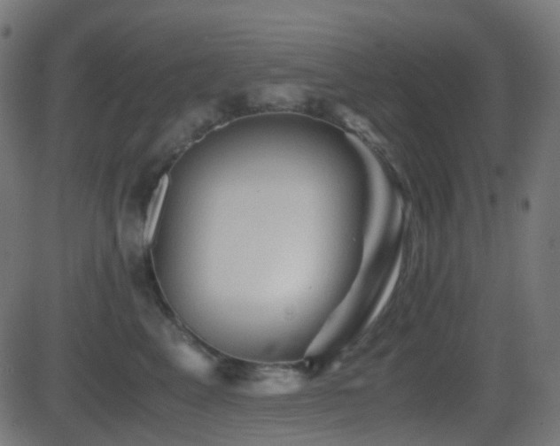 X0000081470617200701121421