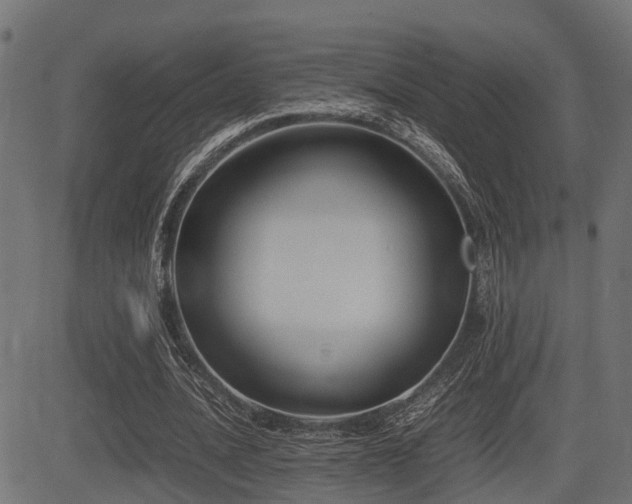 X0000081470628200701121420