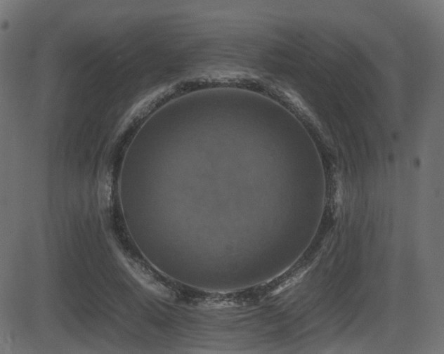 X0000081470640200701121420