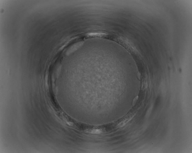 X0000081470647200701121420