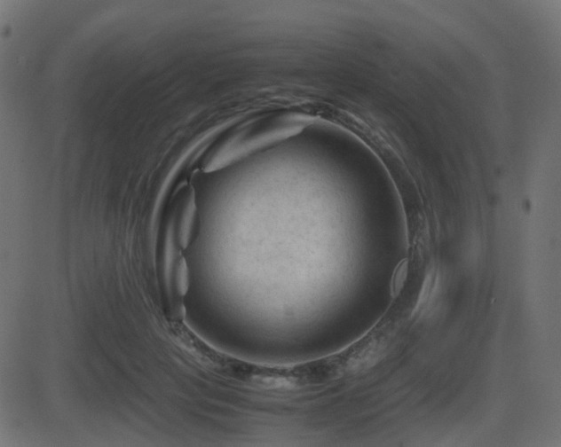 X0000081470649200701121420