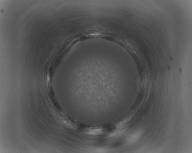 X0000081470651200701121420