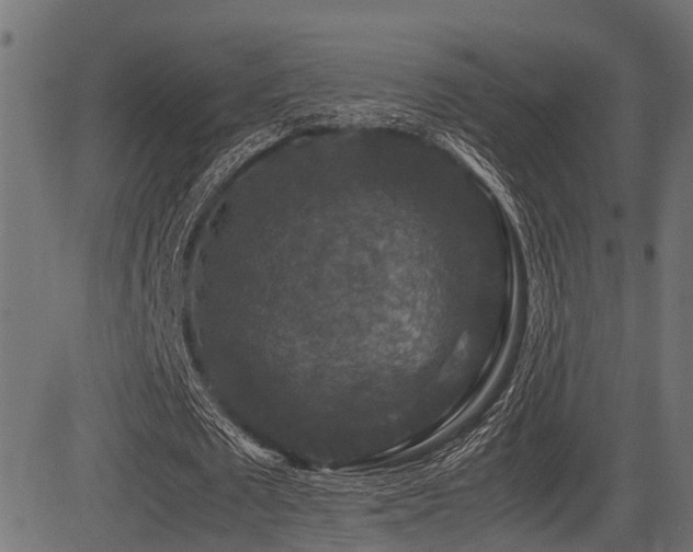 X0000081470673200701121420