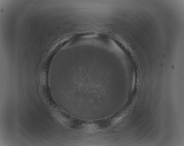 X0000081470689200701121419