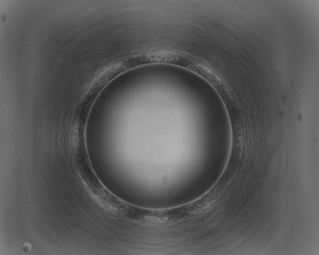 X0000081470690200701121419