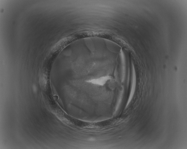 X0000081470691200701121419