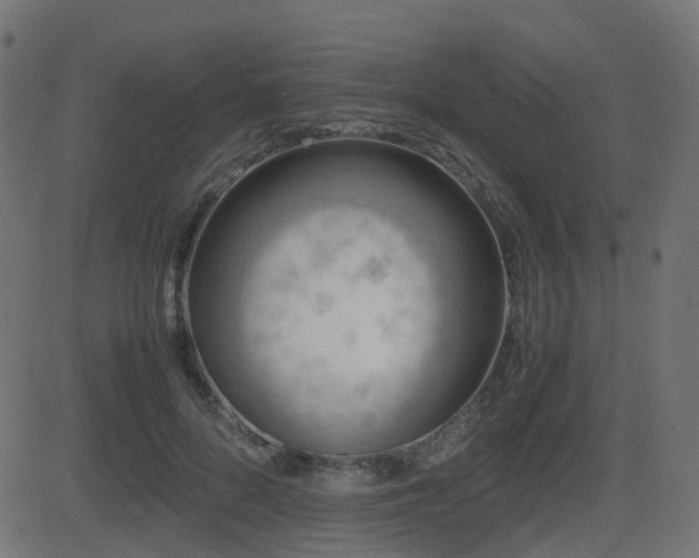 X0000081470696200701121419