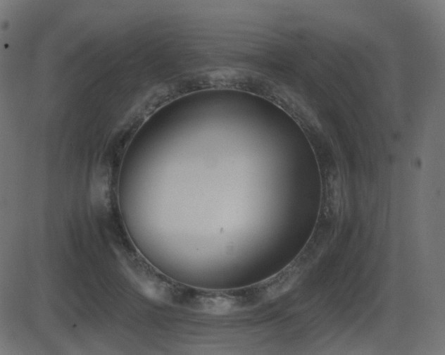 X0000081470698200701121419