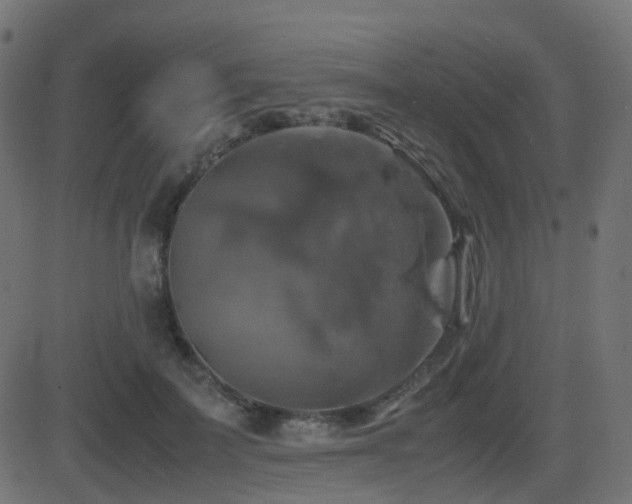 X0000081470699200701121419