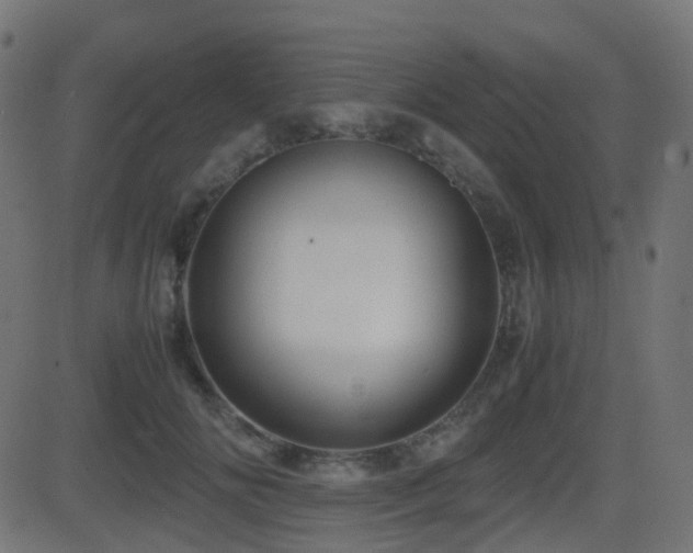 X0000081470702200701121419