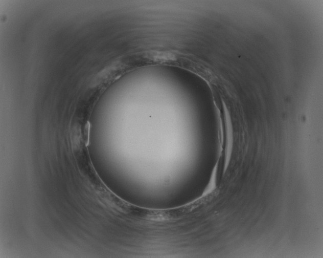 X0000081470704200701121419