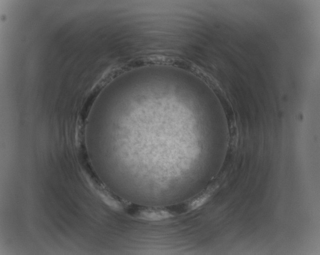 X0000081470712200701121419