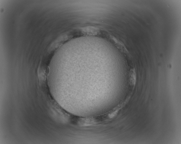 X0000081470713200701121419
