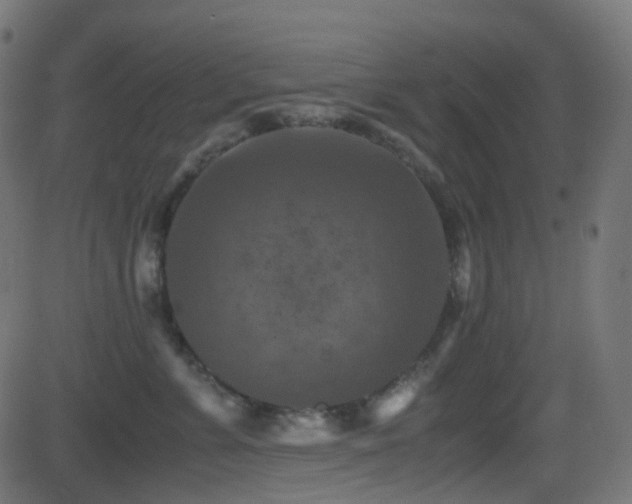 X0000081470715200701121419