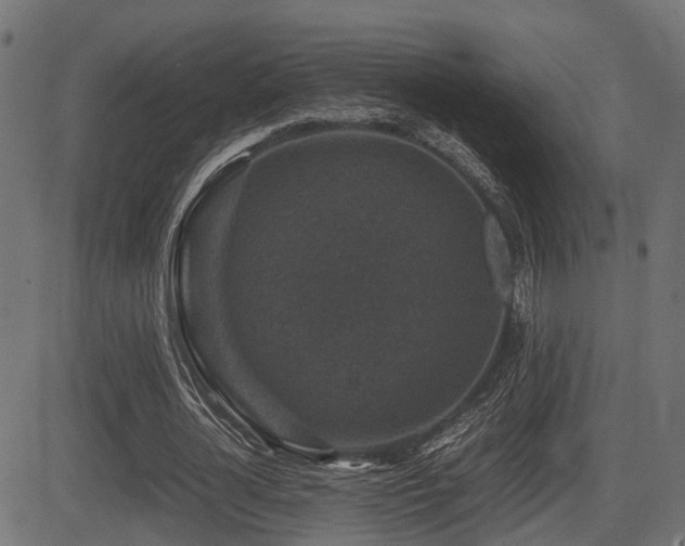 X0000081470724200701121418