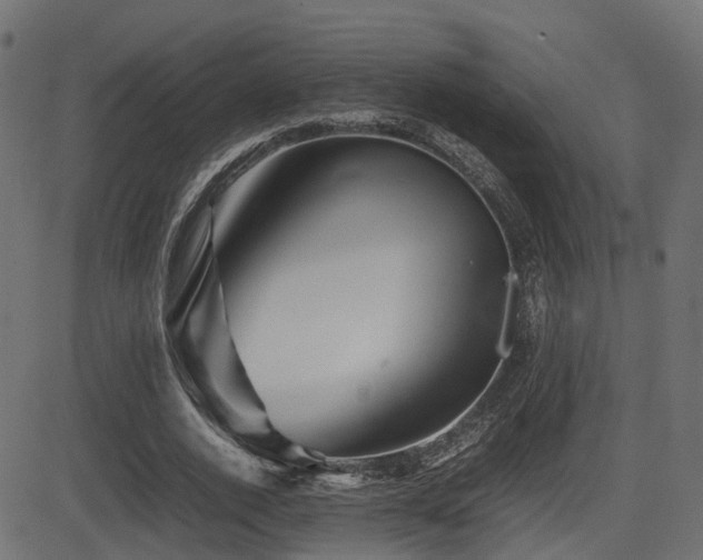 X0000081470728200701121418