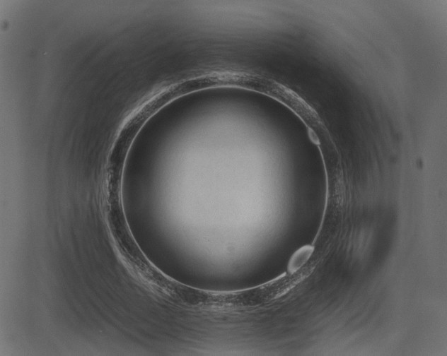 X0000081470730200701121418