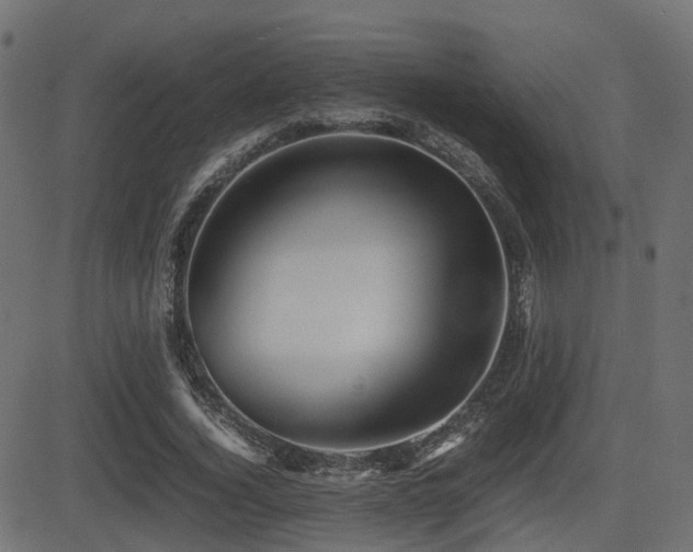 X0000081470732200701121418
