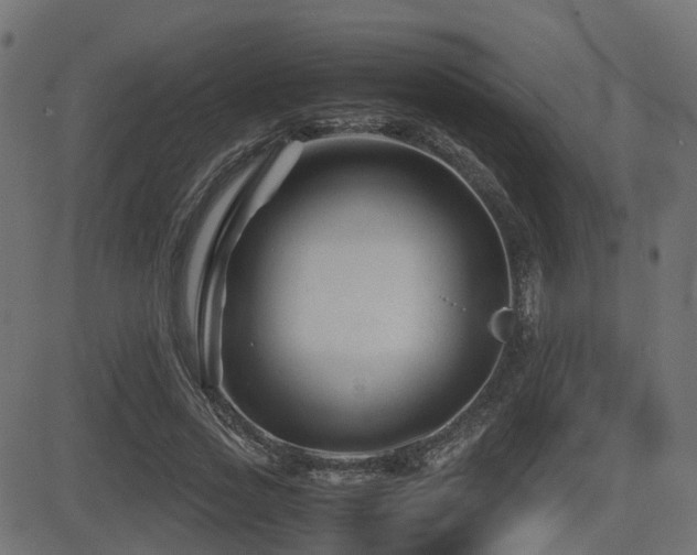 X0000081470733200701121418