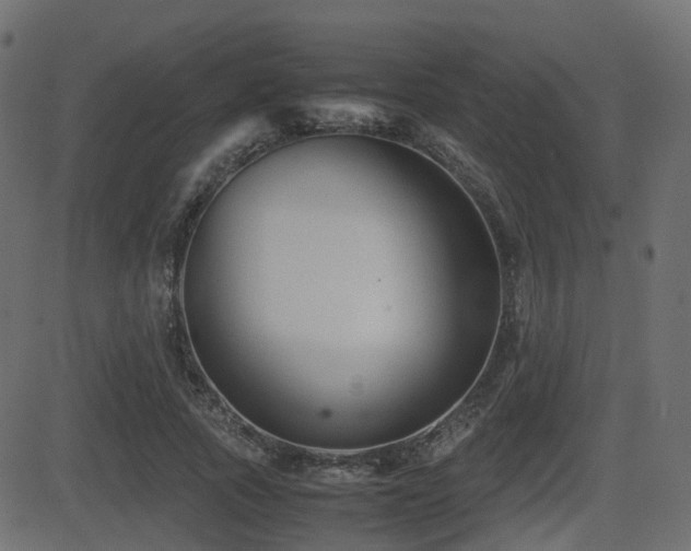 X0000081470737200701121418