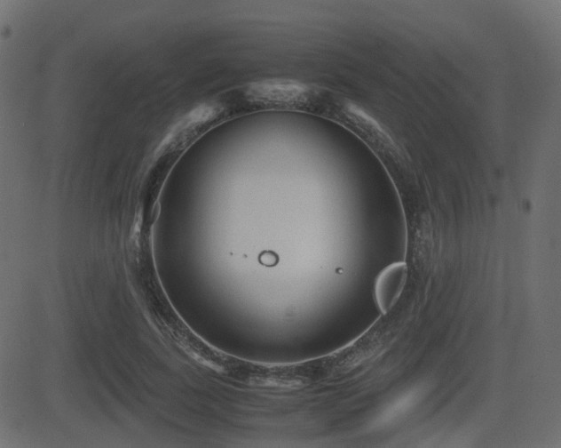 X0000081470739200701121418