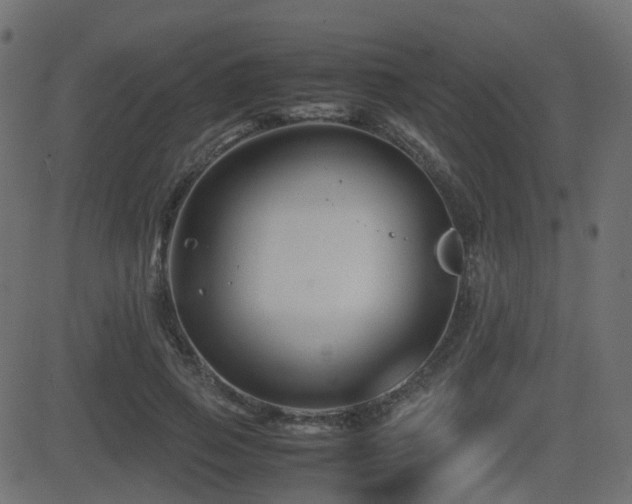 X0000081470741200701121418