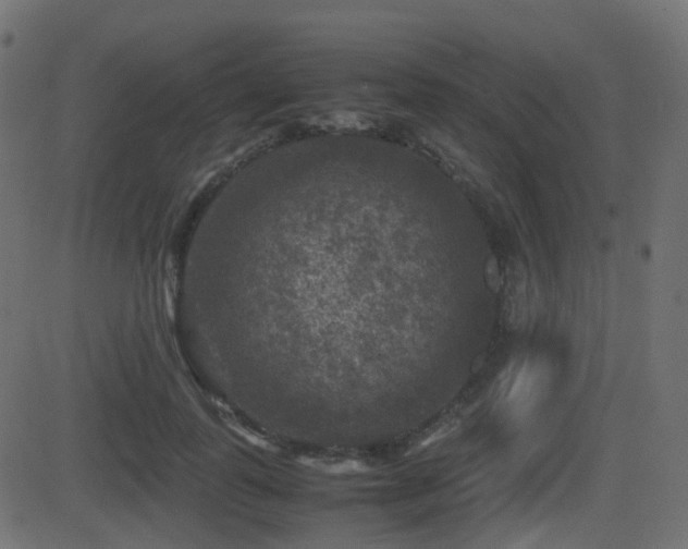 X0000081470747200701121419