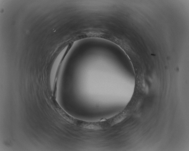 X0000081470755200701121419