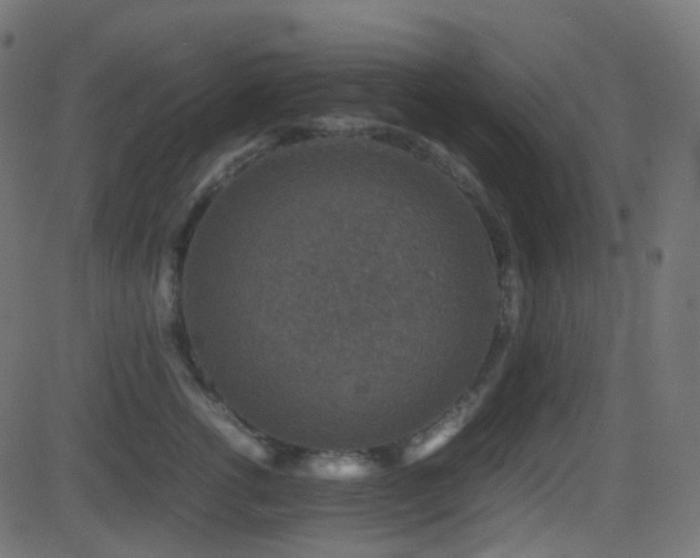 X0000081470762200701121419