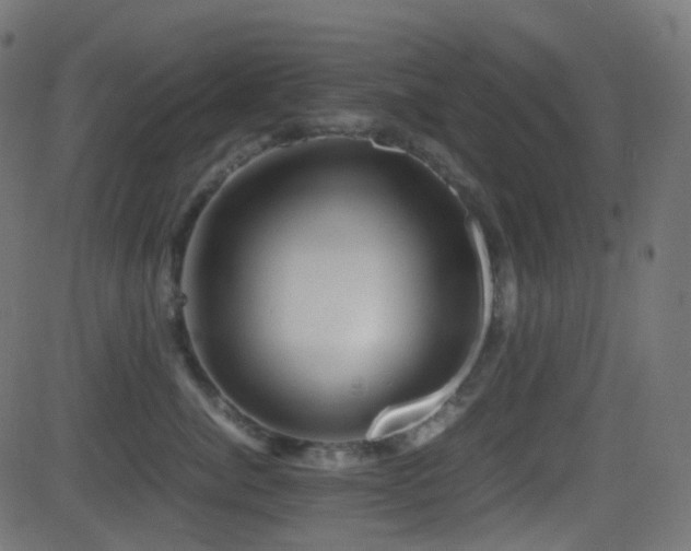 X0000081470764200701121419
