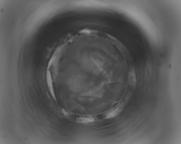 X0000081470765200701121419