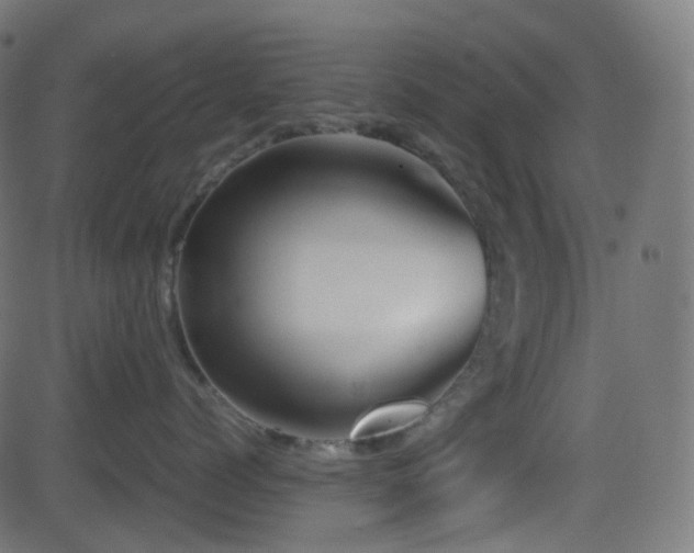 X0000081470768200701121419
