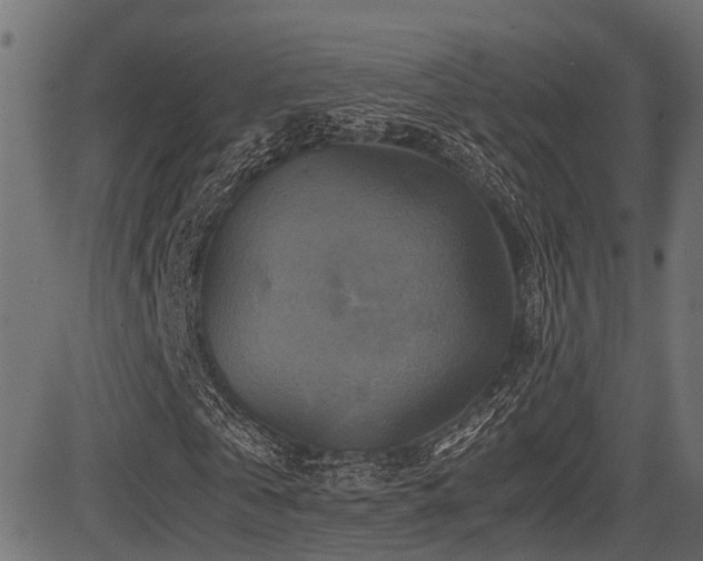 X0000081470769200701121418