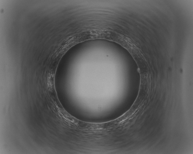 X0000081470770200701121418