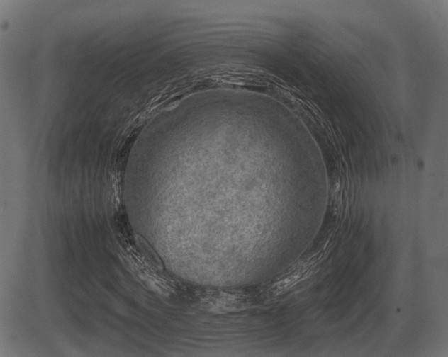 X0000081470772200701121418