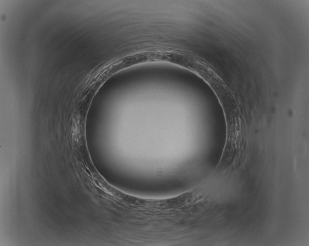 X0000081470773200701121418
