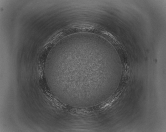 X0000081470774200701121418