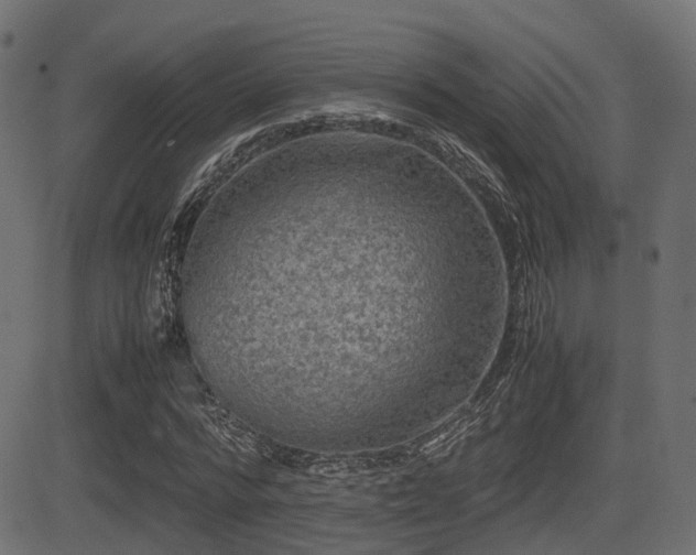 X0000081470776200701121418