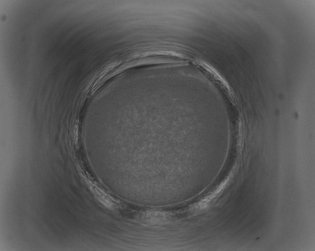 X0000081470777200701121418