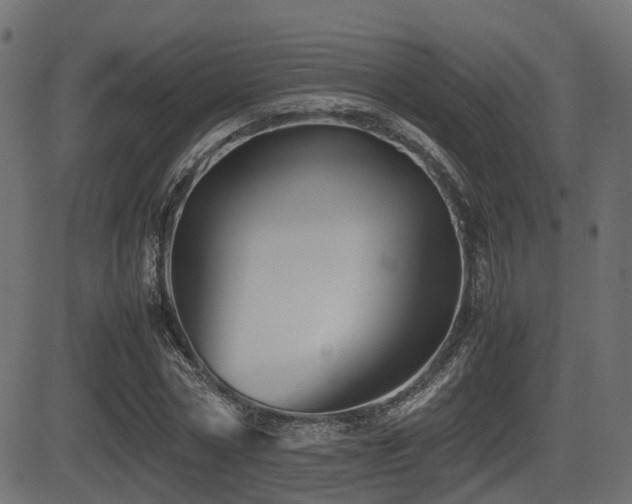 X0000081470778200701121418