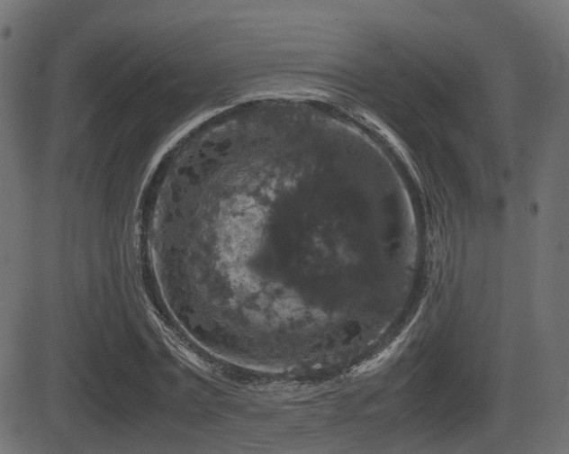 X0000081470779200701121418