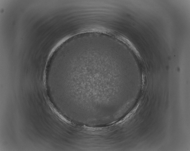 X0000081470780200701121418