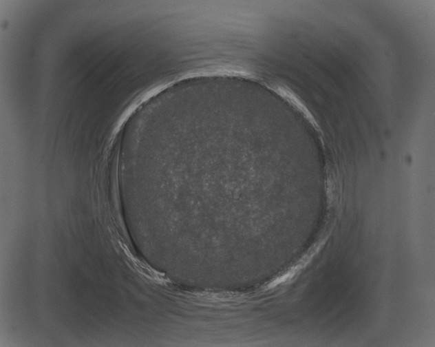 X0000081470781200701121418