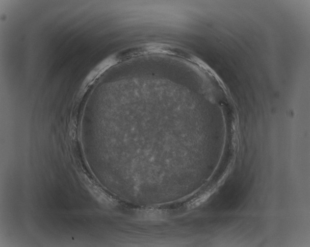 X0000081470785200701121418