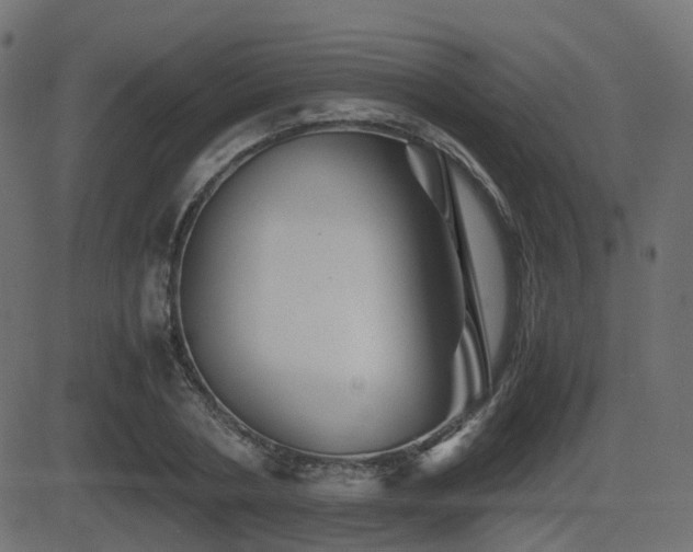 X0000081470786200701121418