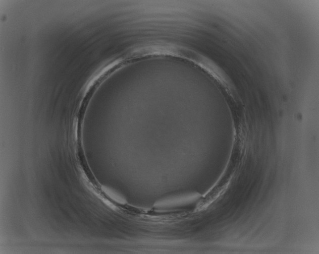 X0000081470790200701121418