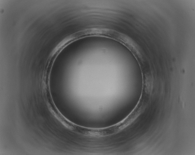 X0000081470794200701121418